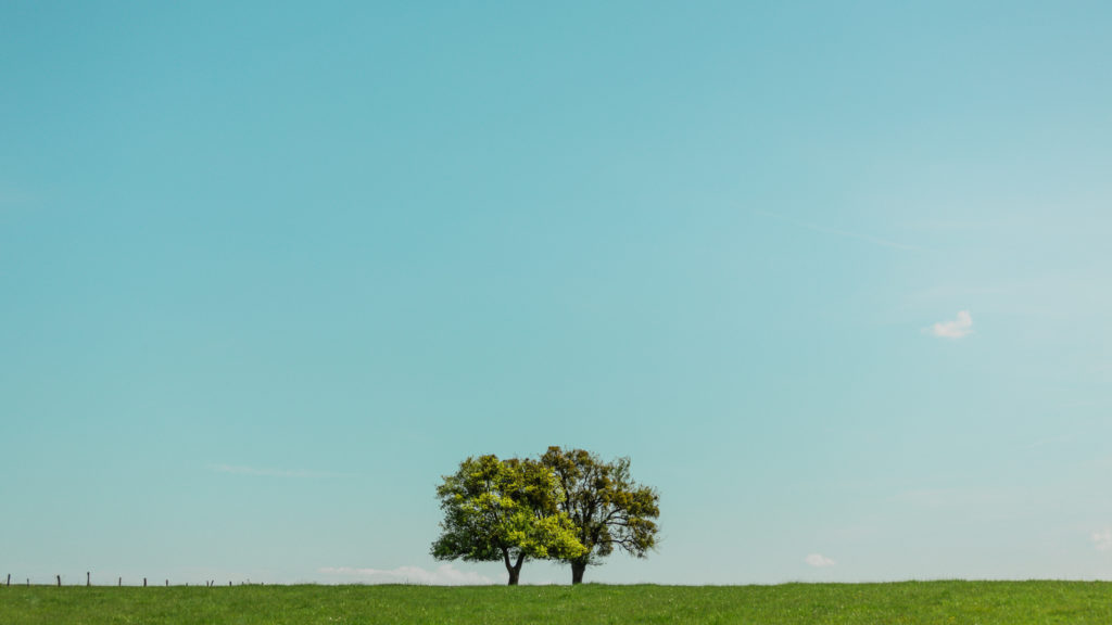 Etangs de Lachaussée