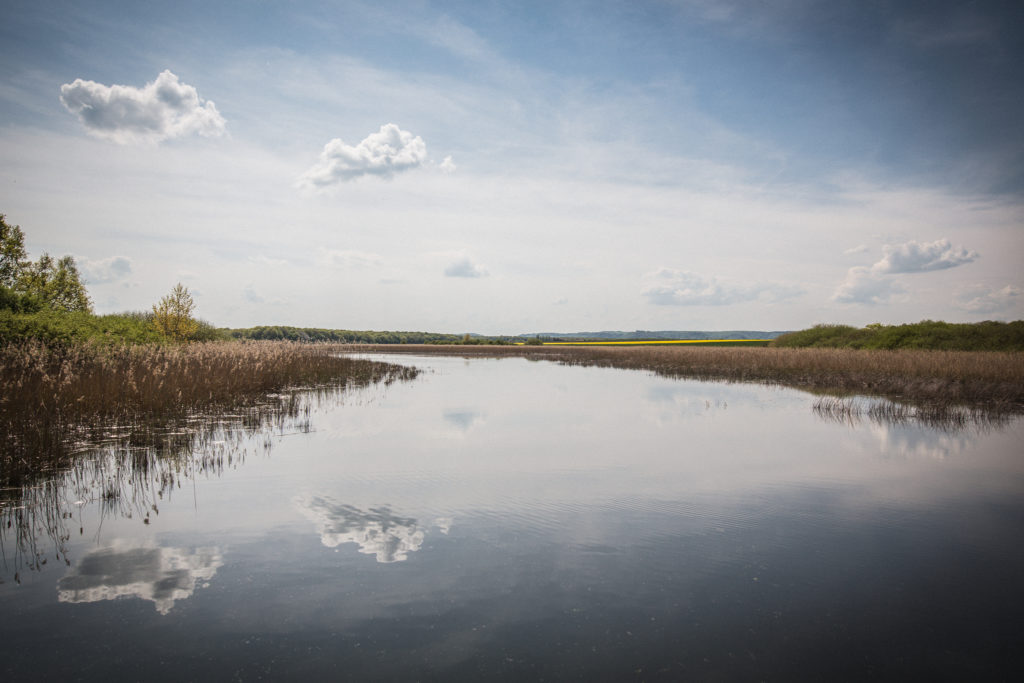 Etangs de Lachaussée